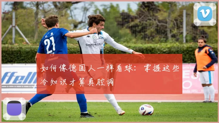 如何像德国人一样看球：掌握这些冷知识才算真腔调