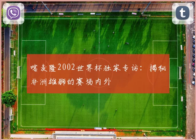 喀麦隆2002世界杯独家专访：揭秘非洲雄狮的赛场内外
