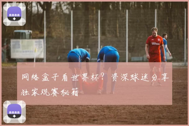 网络盒子看世界杯？资深球迷分享独家观赛秘籍
