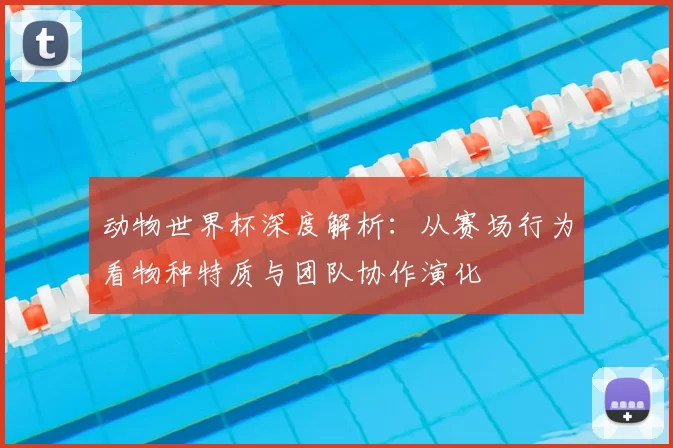 动物世界杯深度解析：从赛场行为看物种特质与团队协作演化