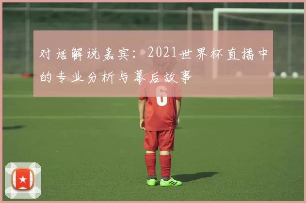 对话解说嘉宾：2021世界杯直播中的专业分析与幕后故事