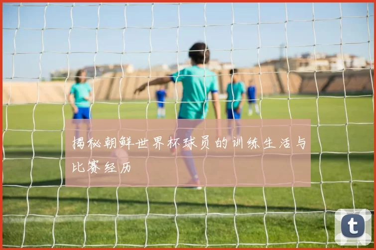 揭秘朝鲜世界杯球员的训练生活与比赛经历