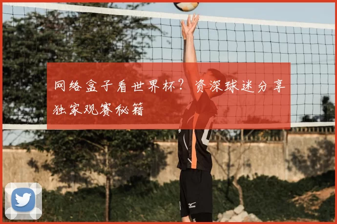 网络盒子看世界杯？资深球迷分享独家观赛秘籍