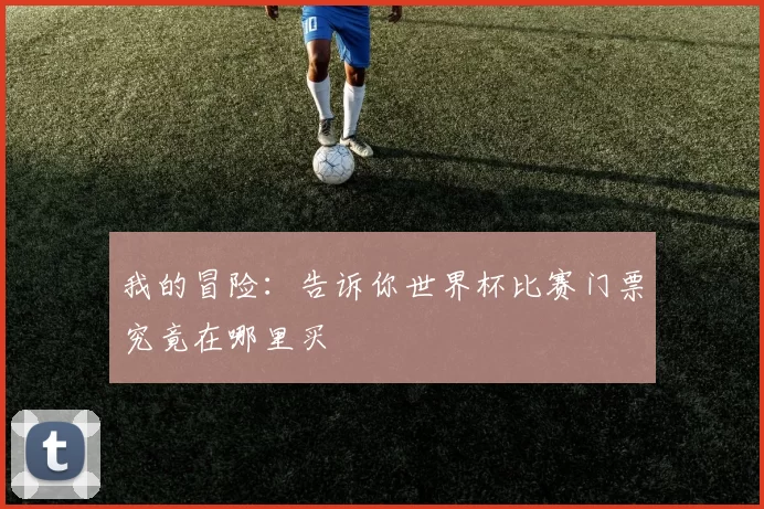 我的冒险：告诉你世界杯比赛门票究竟在哪里买