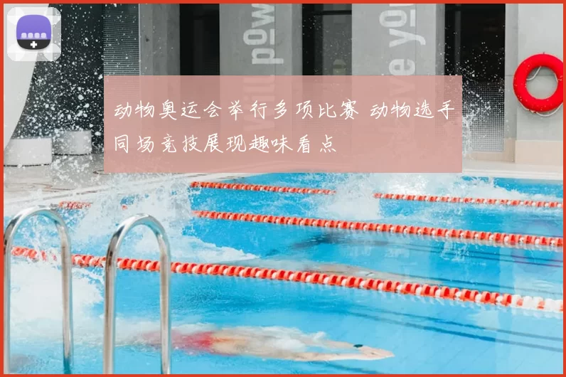 动物奥运会举行多项比赛 动物选手同场竞技展现趣味看点