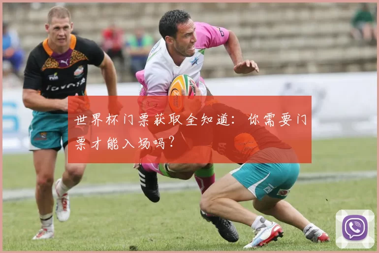 世界杯门票获取全知道：你需要门票才能入场吗？