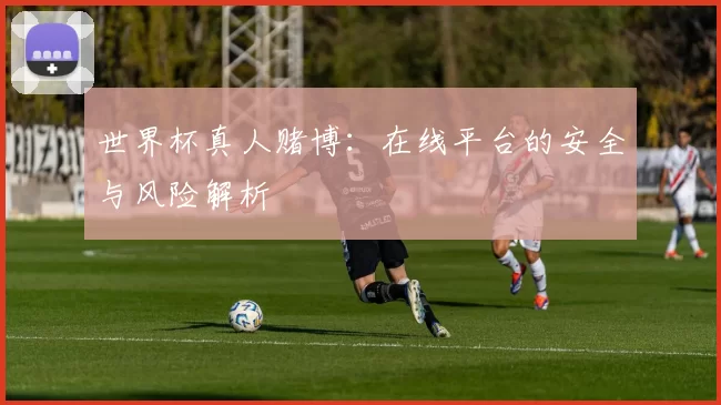 世界杯真人赌博:在线平台的安全与风险解析