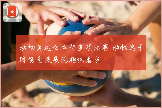 动物奥运会举行多项比赛 动物选手同场竞技展现趣味看点