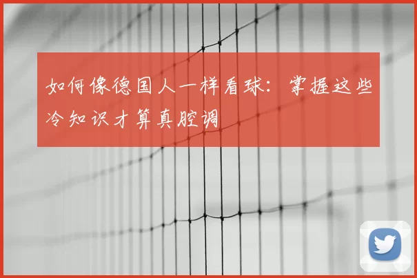 如何像德国人一样看球:掌握这些冷知识才算真腔调