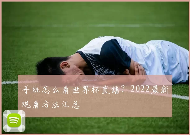 手机怎么看世界杯直播?2022最新观看方法汇总